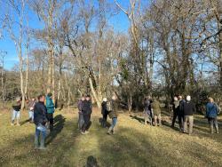 Workshop attendees in the New Forest