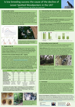 Lsw poster for website